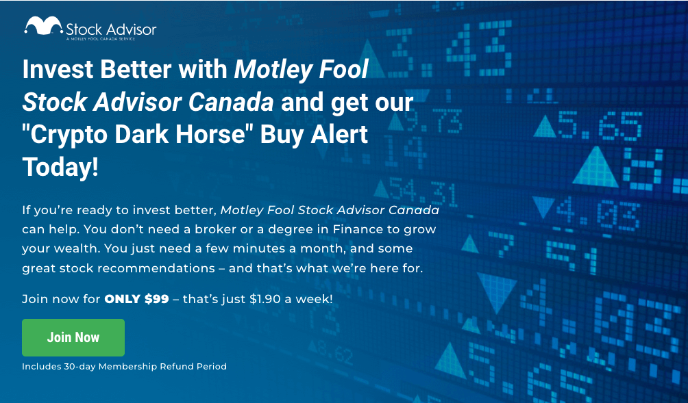 what crypto did motley fool buy