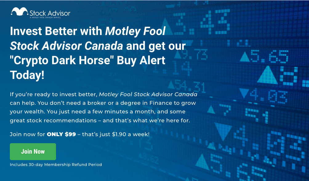 motley fool crypto news