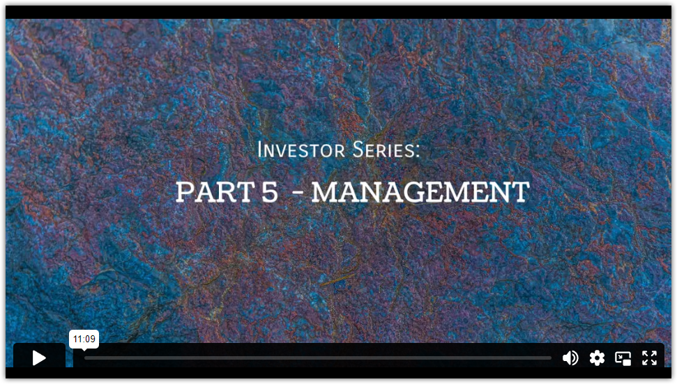 investor series part 5