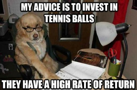 008-dog-memes